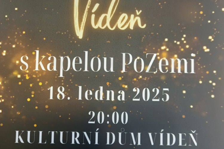 Ples obce Vídeň
