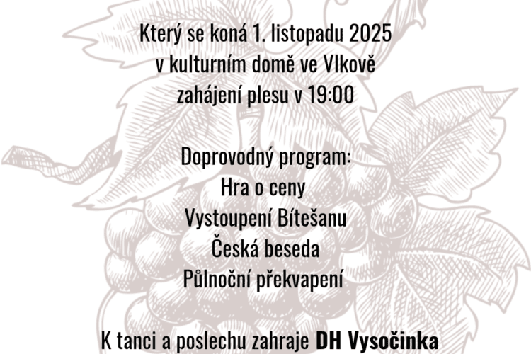 Krojovaný ples Vlkov