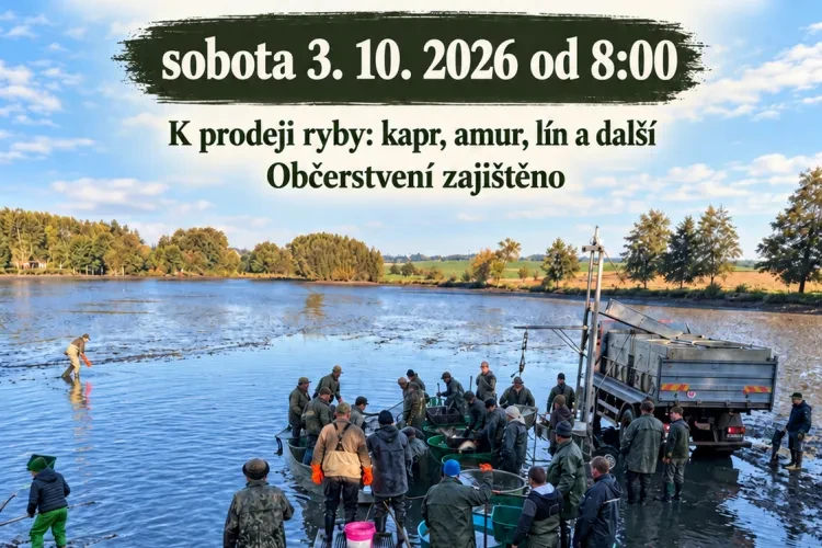 Výlov rybníka Hornoměstský