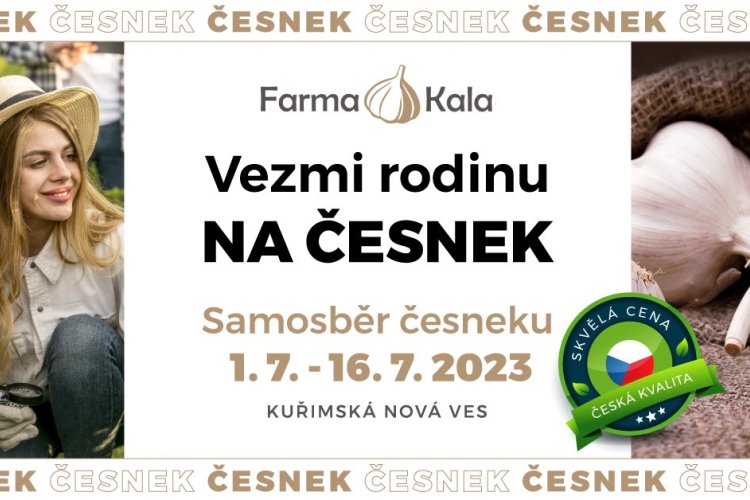 Samosběr česneku 1.7.-16.7.2023